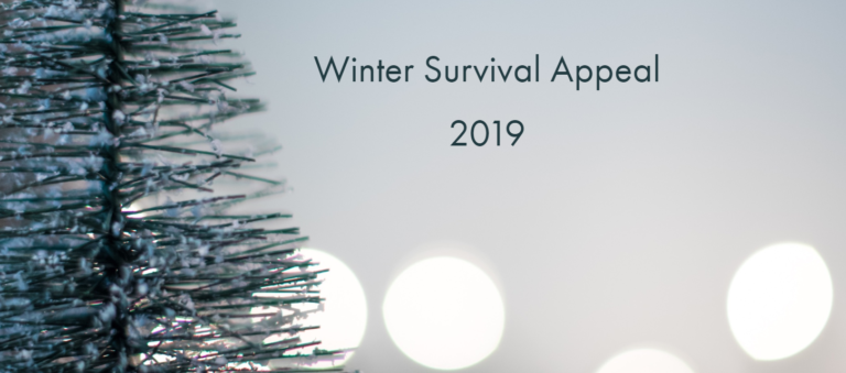 winter-survival-slider-e1575976965862-768×339